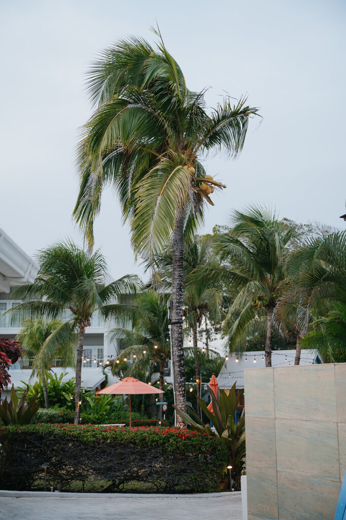 A Dreamy Destination Wedding in Barbados
